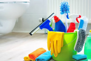 Messie Reinigung Koblenz